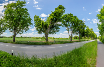 Image for Germany-Speyer: Cleaning the lane median on federal highways.